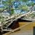 Fairview Fallen Tree Damage by Emergency Response Team